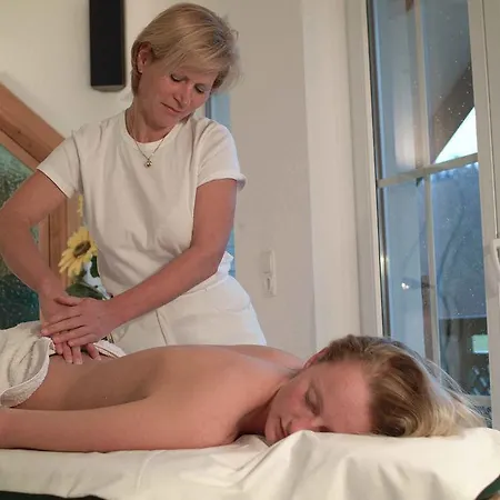 Irmgard Hotel Strass im Attergau